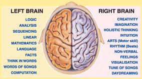 left brain - right brain