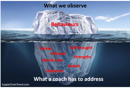 Coaching behaviours v2
